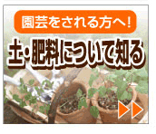 ���|���������ցI�@�y�E�엿�ɂ��Ēm��