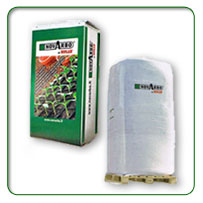 �s�[�g���X���T�u�X�g���C�g