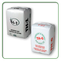 �s�[�g���X���T�u�X�g���C�g