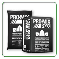 �s�[�g���X���T�u�X�g���C�g