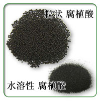 �y����Ǎށ����̑�